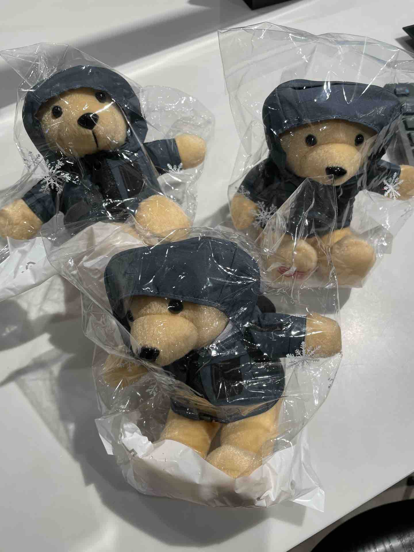 ビタミンカラーのハーモニー STIベア 2020Winter コレクション | ccfl.ie