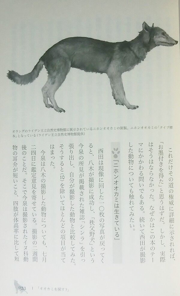 宗像充著 ニホンオオカミは消えたか 旬報社 エノキブログ 元yahooブログの方