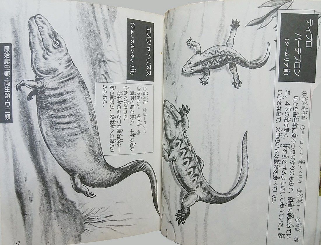 恐竜全(オール)百科 番外編『恐竜全百科』（コロタン文庫） : エノキブログ（元yahoo
