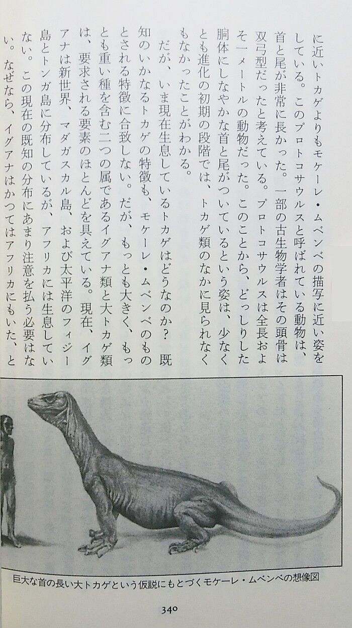 ロイ P マッカル著 南山宏訳 幻の恐竜を見た 後編 エノキブログ 元yahooブログの方 ロイ P マッカル著 南山宏訳 幻の恐竜を見た 後編 エノキブログ 元yahooブログの方