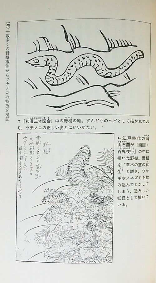 幻のツチノコを捕獲せよ！ムー スーパー ミステリー ブック 並木