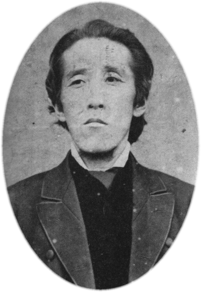 板垣退助全集 全巻 板垣守正編 昭和8年重版 高知県 土佐藩 自由
