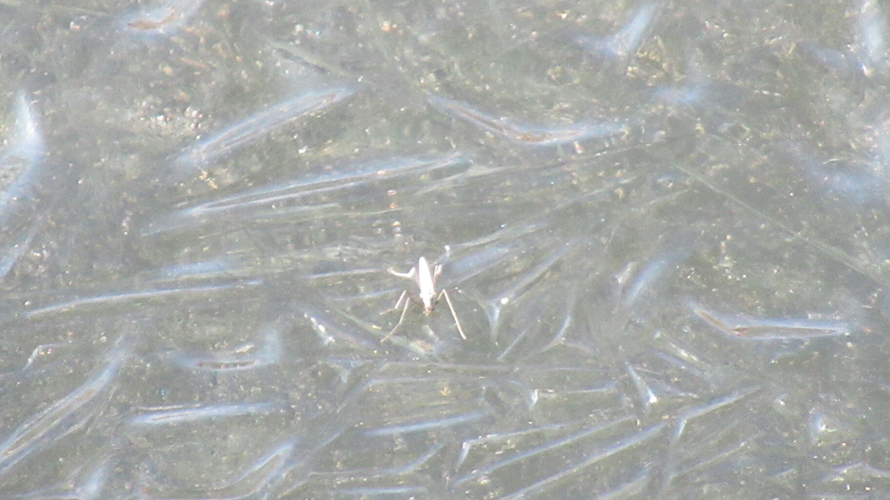 なかなか厳しい冬の釣り 北海道の東方から