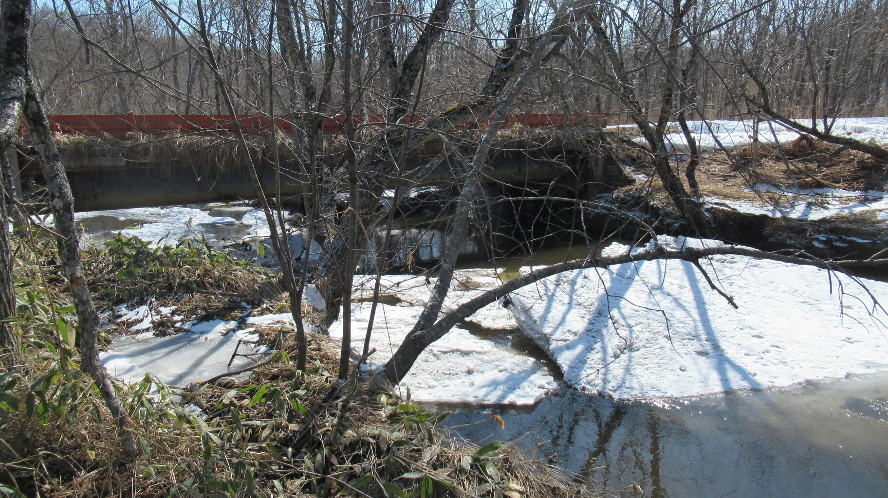 一郎 二朗 三男坊の川でアメマスフィッシング 北海道の東方から