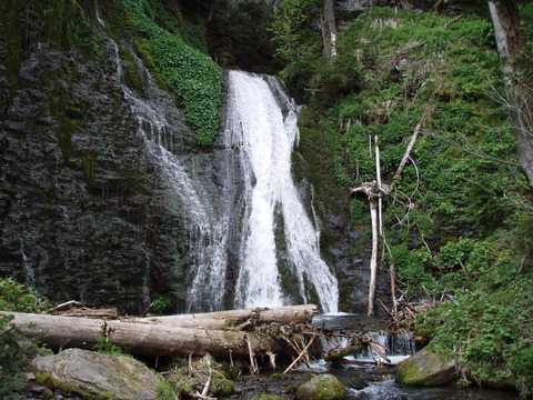 08.06.01緑ダム近辺22