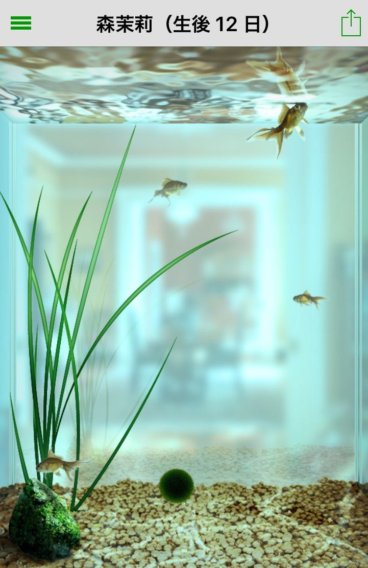 まりもを飼う のはらだより