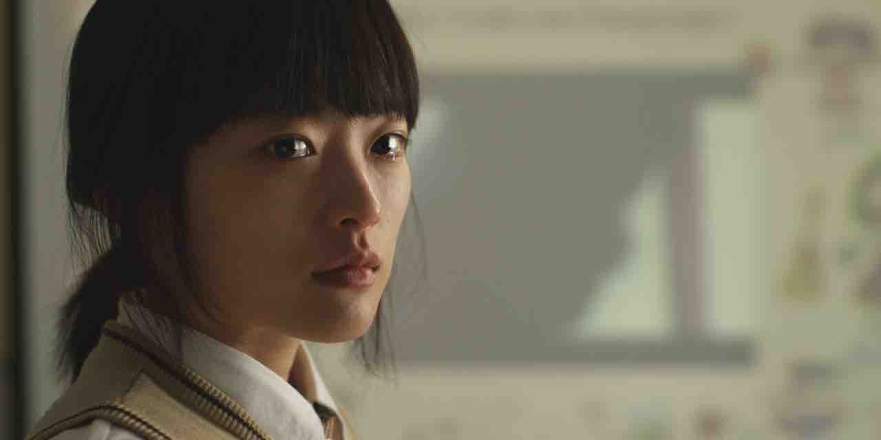 犬と猫 ちゃんとしーまいね