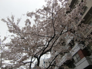 �翹������ե����ƥ��Х�2010