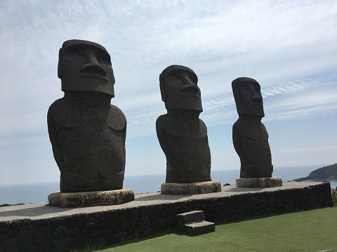 rIMG_1374