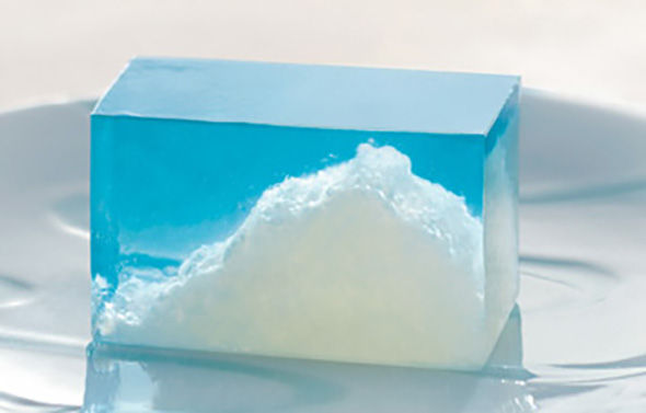 幻の和菓子 とらや「雲の峯」 : むっちり息子とガリガリ夫