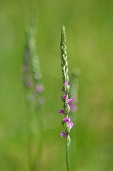 s-�ͤ��Ф�54