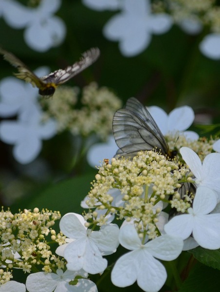 s-�����Х������祦7