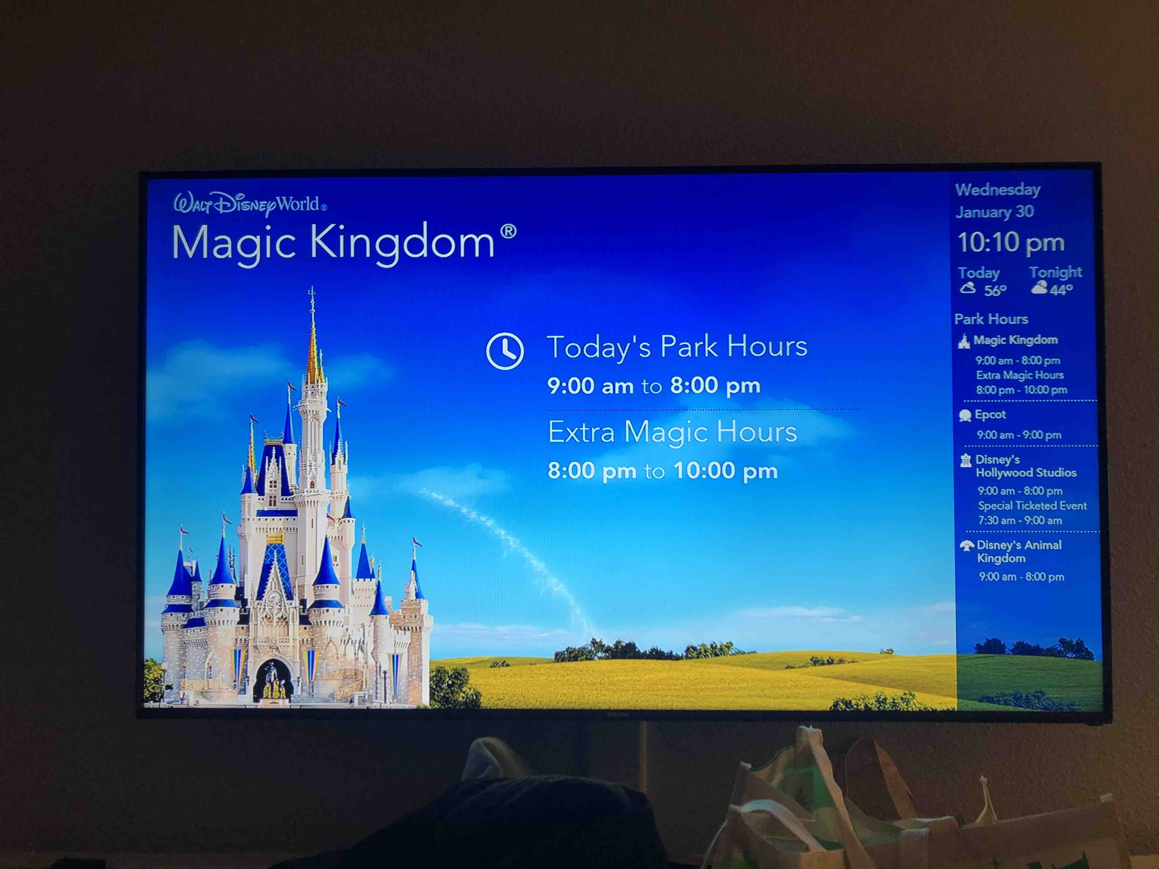 Wdw旅行記 Part6 最終日 Happily Ever After編 えばろぐ Wdw旅行記 Part6 最終日 Happily Ever After編 えばろぐ