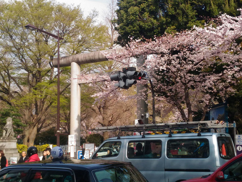 yasukuni01