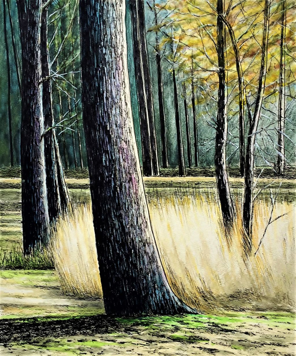 水彩画 松と雑木林 水戸の仙人の水彩画 水彩画 松と雑木林 水戸の仙人の水彩画