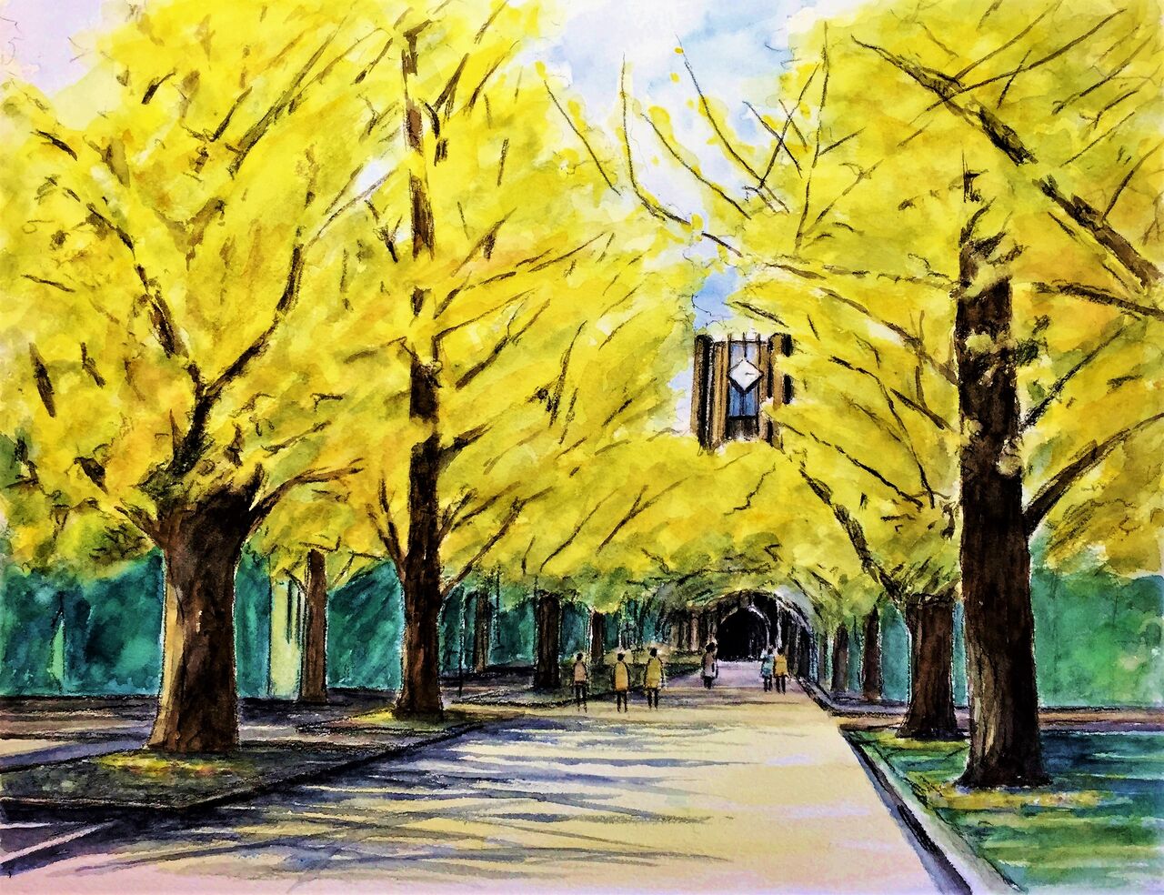 465＊東大銀杏並木 水彩画 原画 透明水彩