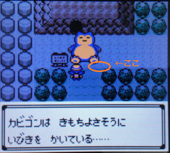 カビゴンは きもちよさそうに いびきを かいている Ebekoの日記 カビゴンは きもちよさそうに いびきを かいている Ebekoの日記