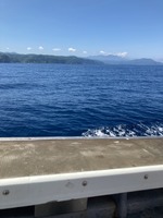 IMG_0495