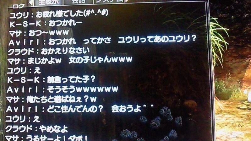 三大 オンラインゲームの名言 てめぇの頭はハッピーセットかよ 引くこと覚えろカス 任天党 にんてんとう