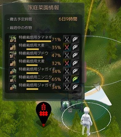 Tips2 家庭菜園 畑 園芸 農業 Ebiの黒い砂漠日記blog