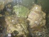 IMGP0812