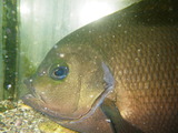IMGP0853