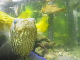 IMGP0834
