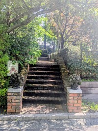 PXL_20260504_011350024~2