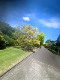 PXL_20260509_012542277~2