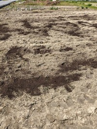 PXL_20240412_031627360