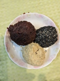 PXL_20240320_090500430