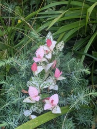 PXL_20260610_012250127