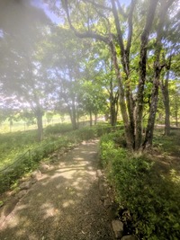 PXL_20260504_020207694~2