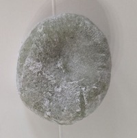 PXL_20251025_061831079