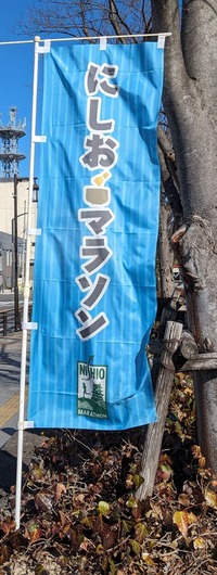 PXL_20240117_022952604~2