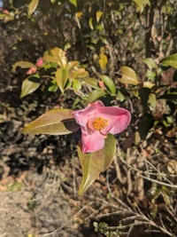 PXL_20260228_010736737