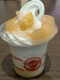 PXL_20240828_044534847