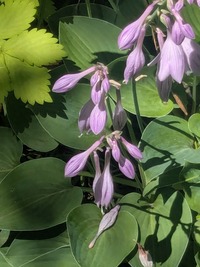 PXL_20260610_011248998