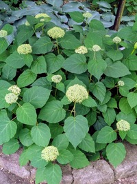 PXL_20260523_035754217~2
