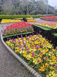 PXL_20260401_005001389~2