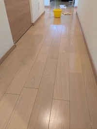 PXL_20251227_061611081