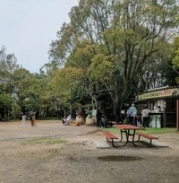 PXL_20260405_015846110~3