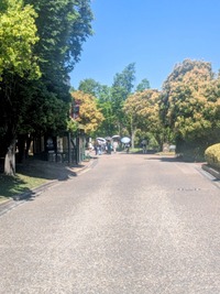 PXL_20260530_003655213~2