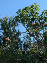 PXL_20241013_230235673