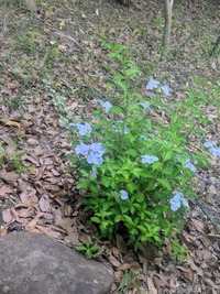 PXL_20260606_052122436~2