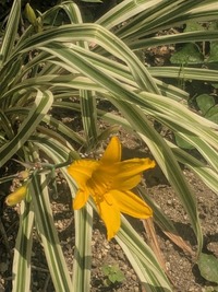PXL_20260720_010721851