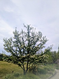 PXL_20260415_011352624~2