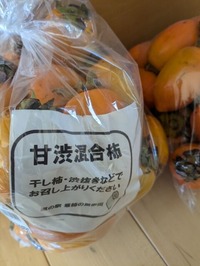 PXL_20241110_002758680