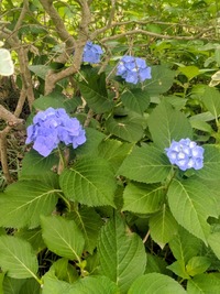 PXL_20260606_052505727~2