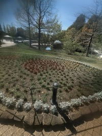 PXL_20260411_052928602~2